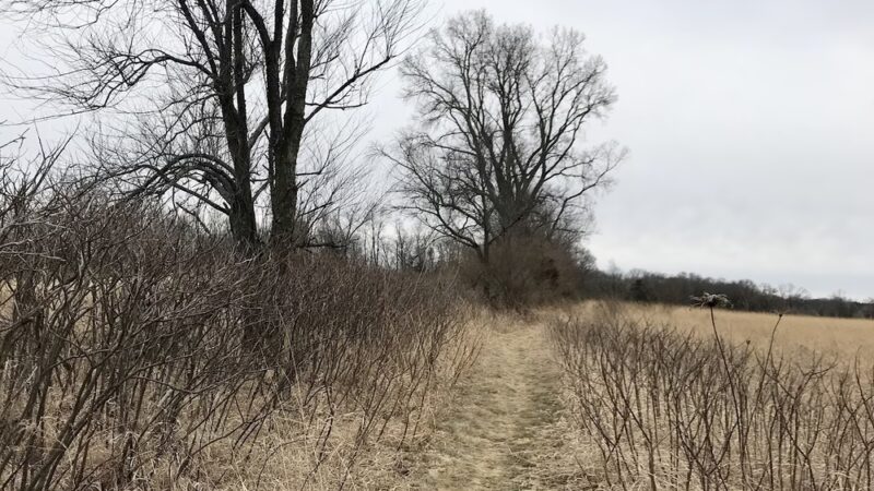 Ice Age Trail - Merrimac Segment - Merrimac, WI