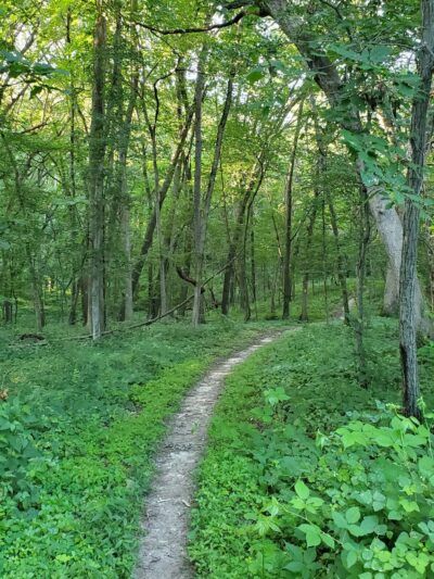 Ice Age Trail - Merrimac Segment - Merrimac, WI