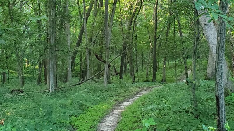 Ice Age Trail - Merrimac Segment - Merrimac, WI