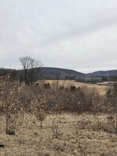 Ice Age Trail - Merrimac Segment - Merrimac, WI