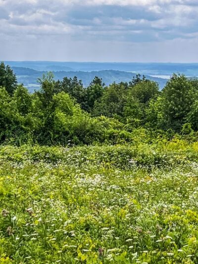 Owen Park - Merrimac, WI