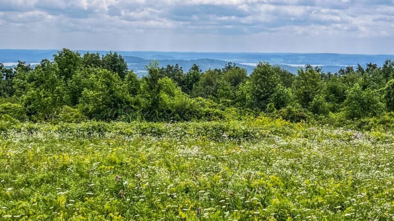 Owen Park - Merrimac, WI