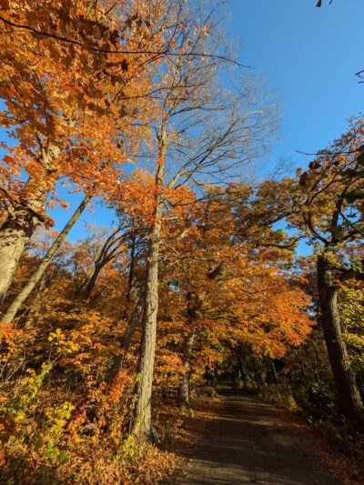 Owen Park - Merrimac, WI