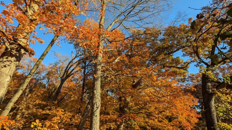 Owen Park - Merrimac, WI