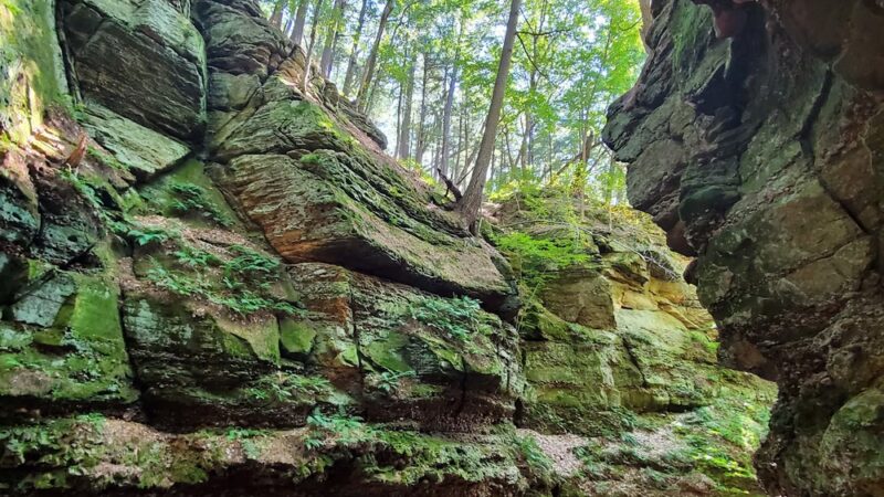 Parfrey's Glen State Natural Area - Merrimac, WI