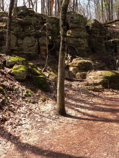 Parfrey's Glen State Natural Area - Merrimac, WI