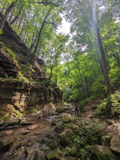 Parfrey's Glen State Natural Area - Merrimac, WI
