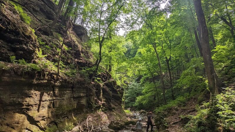 Parfrey's Glen State Natural Area - Merrimac, WI