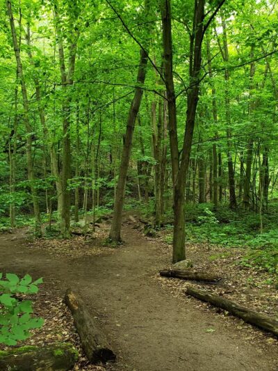 Parfrey's Glen State Natural Area - Merrimac, WI