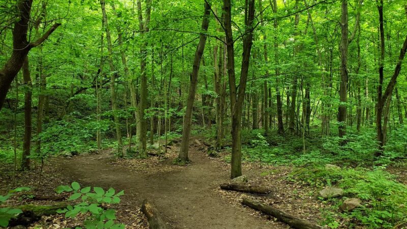 Parfrey's Glen State Natural Area - Merrimac, WI