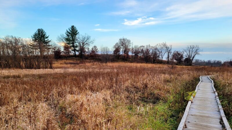 Riverland Conservancy Merrimac Preserve - Merrimac, WI