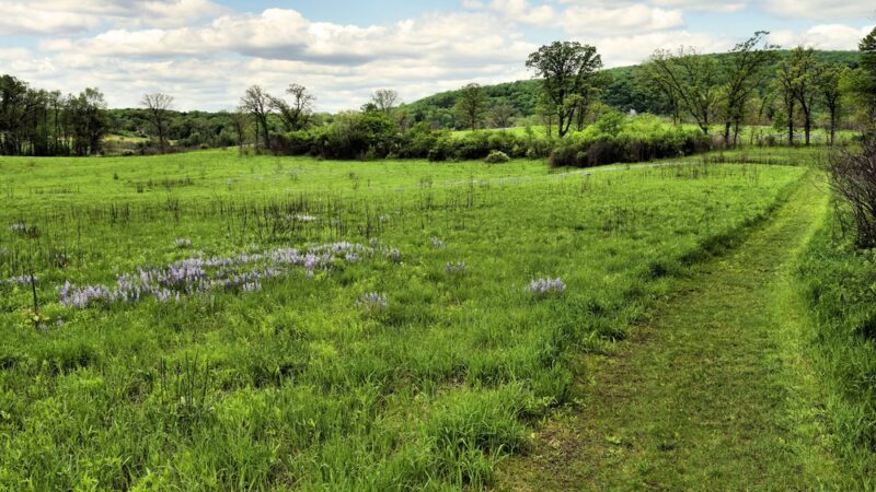 Riverland Conservancy Merrimac Preserve - Merrimac, WI