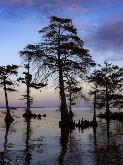 Bertie Beach - Merry Hill, NC