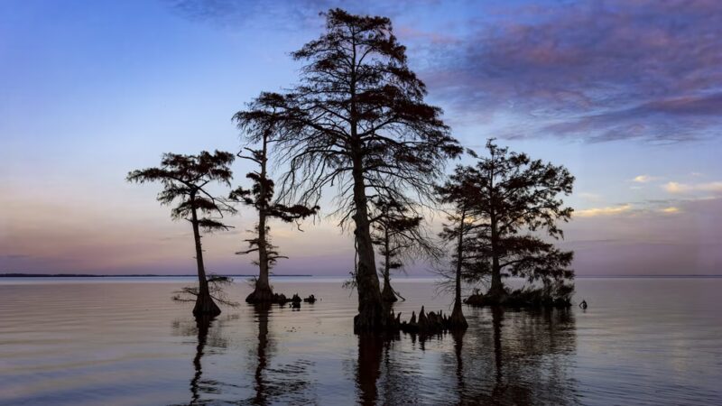 Bertie Beach - Merry Hill, NC