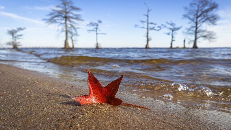 Bertie Beach - Merry Hill, NC
