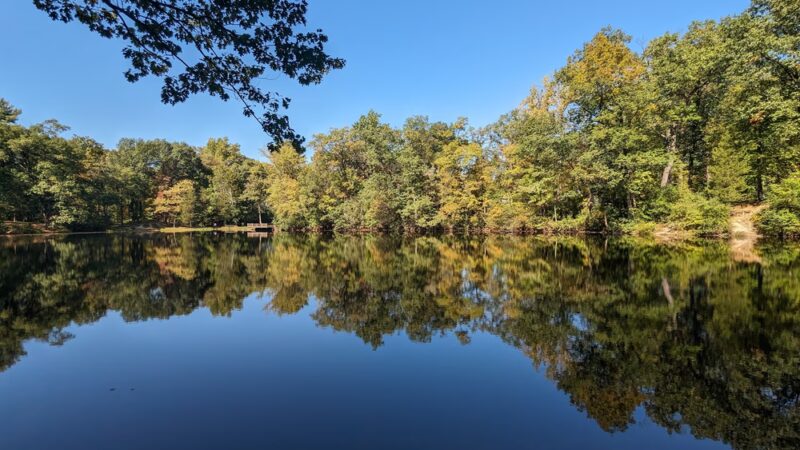 Hunsicker's Grove - Mertztown, PA