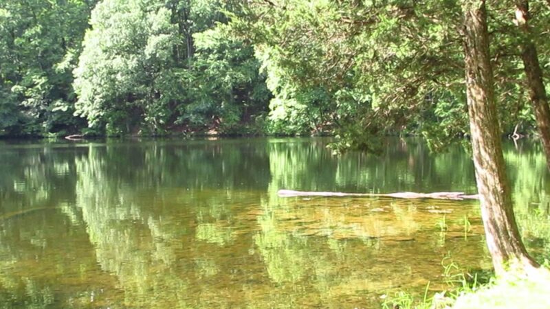 Hunsicker's Grove - Mertztown, PA