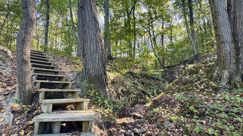 Hunsicker's Grove - Mertztown, PA