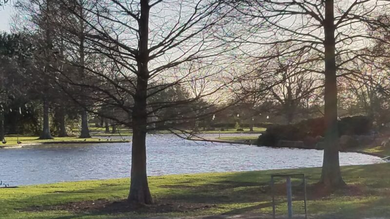 Lafreniere Park - Metairie, LA