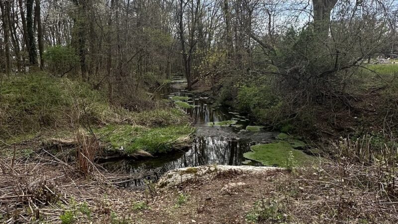 Middlesex County Open Space - Metuchen, NJ