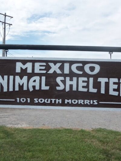 Mexico Animal Shelter - Mexico, MO