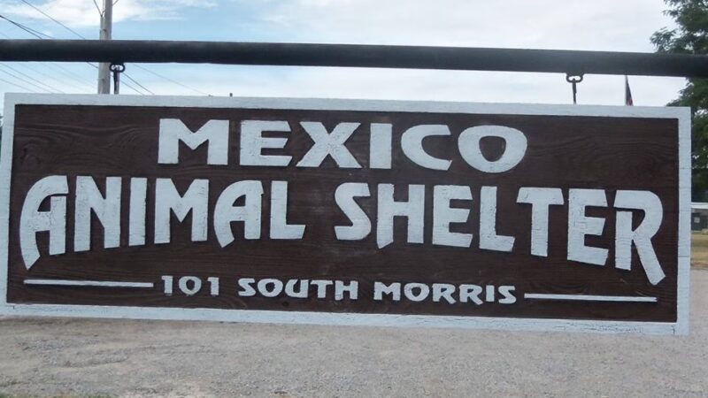 Mexico Animal Shelter - Mexico, MO