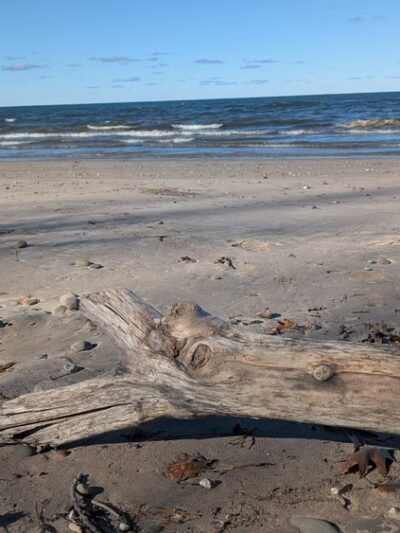 Casey’s Cottage - Mexico, NY