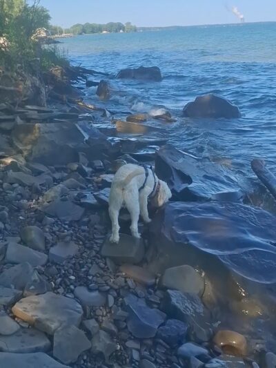 Mexico Point Park - Mexico, NY