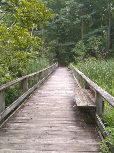 Mexico Point State Park - Mexico, NY