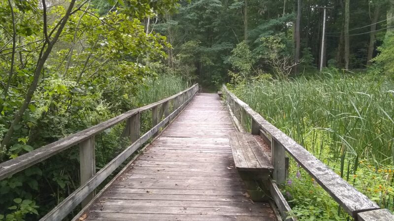 Mexico Point State Park - Mexico, NY