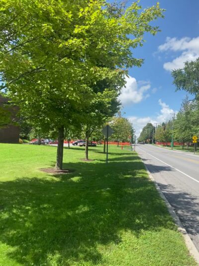 Town of Mexico Community Park - Mexico, NY