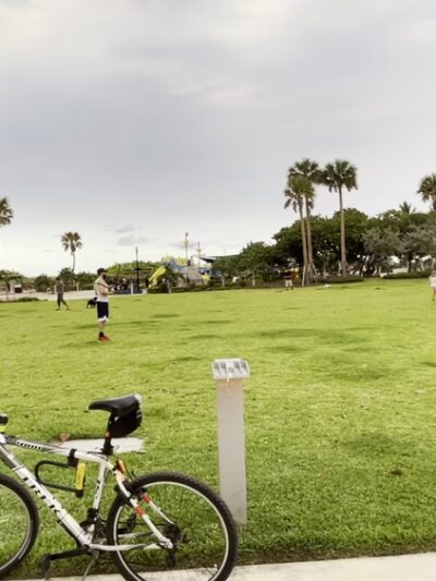 Altos Del Mar Park - Miami Beach, FL