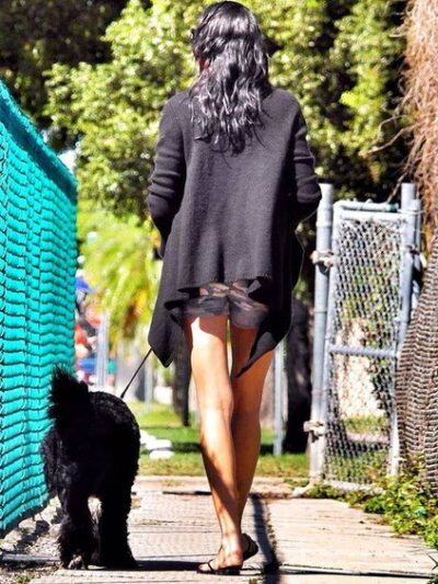 Love Miami Dogs - Miami Beach, FL