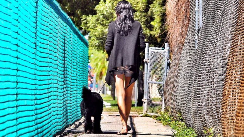 Love Miami Dogs - Miami Beach, FL