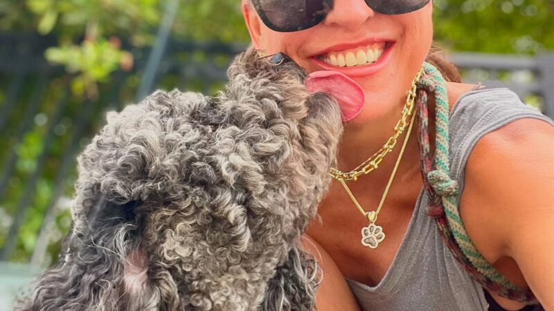 Love Miami Dogs - Miami Beach, FL