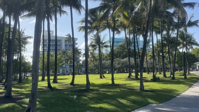 Marjory Stoneman Douglas Ocean Beach Park - Miami Beach, FL