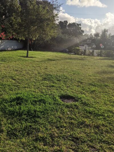 Mini Dog Park - Miami Beach, FL