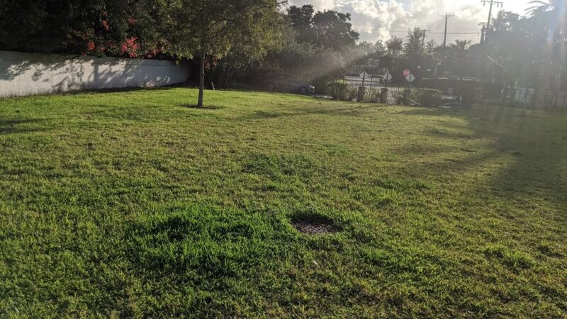 Mini Dog Park - Miami Beach, FL