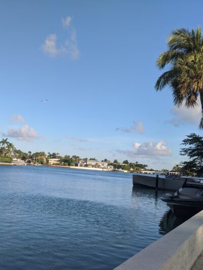 Mini Dog Park - Miami Beach, FL