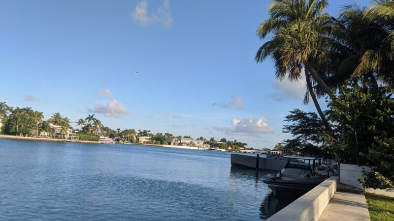 Mini Dog Park - Miami Beach, FL