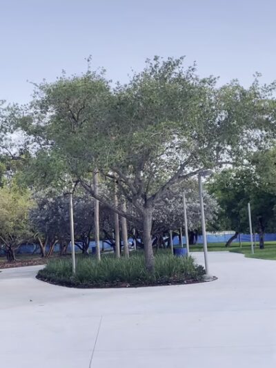 North Beach Oceanside Park - Miami Beach, FL