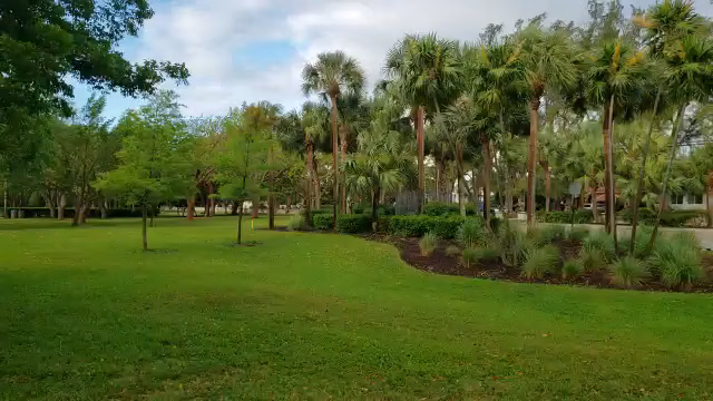 Pinetree Park - Miami Beach, FL