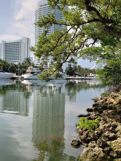 Pinetree Park - Miami Beach, FL