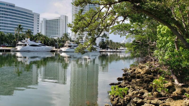 Pinetree Park - Miami Beach, FL