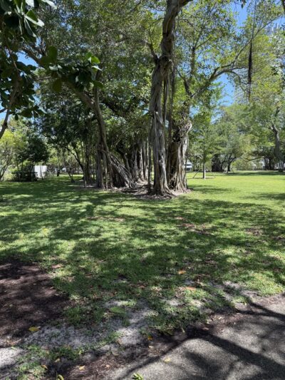 Pinetree Park - Miami Beach, FL