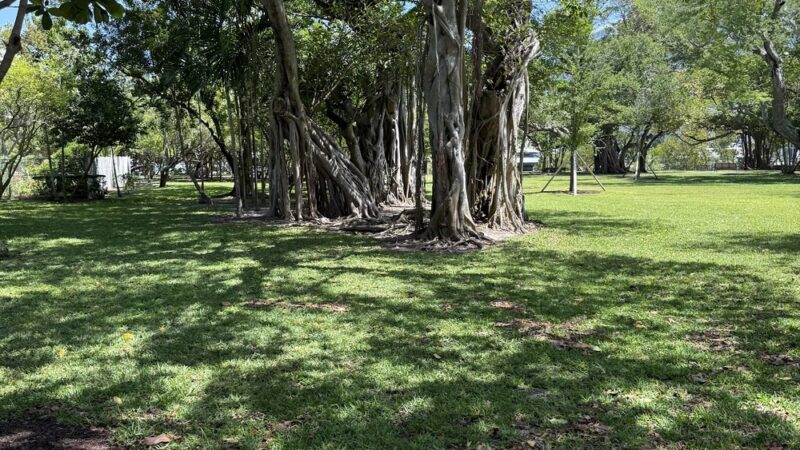 Pinetree Park - Miami Beach, FL