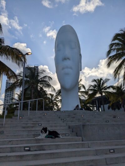 Parque de perros - Miami, FL