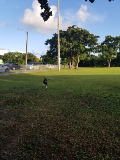 Arcola Park - Miami, FL
