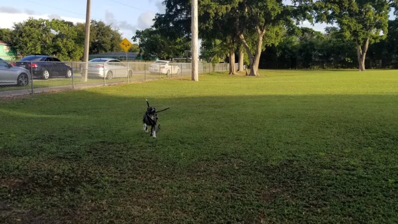 Arcola Park - Miami, FL