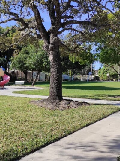 Soar Park - Miami, FL